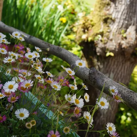 Panzió Les Charmes Du Petit Pre 3*