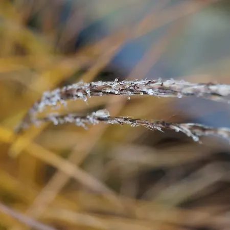 Les Charmes Du Petit Pre 3* Coulomby