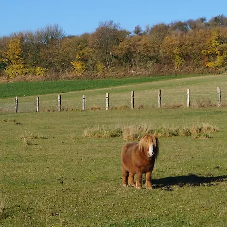 Les Charmes Du Petit Pre Отель типа 